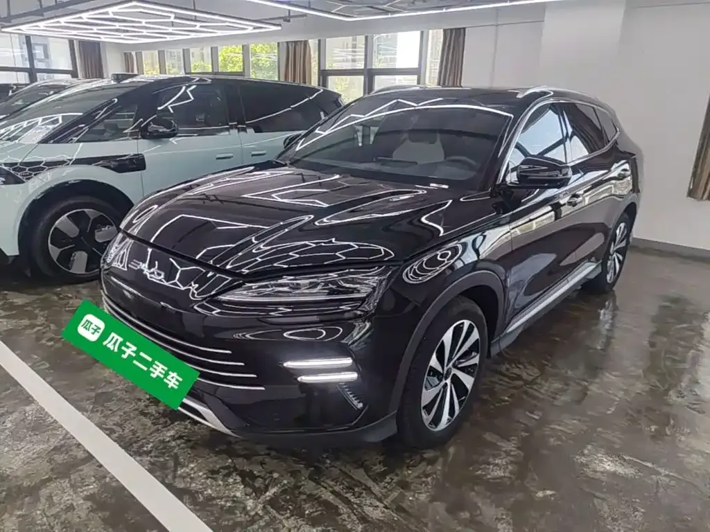 BYD PLUS New Energy — фото 5