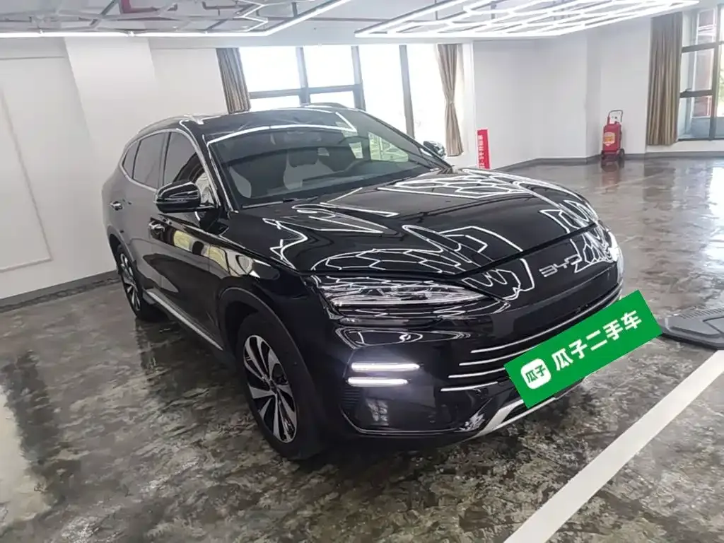 BYD PLUS New Energy — фото 7
