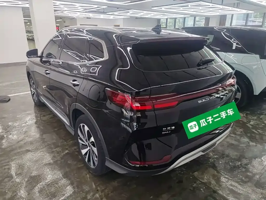 BYD PLUS New Energy — фото 6