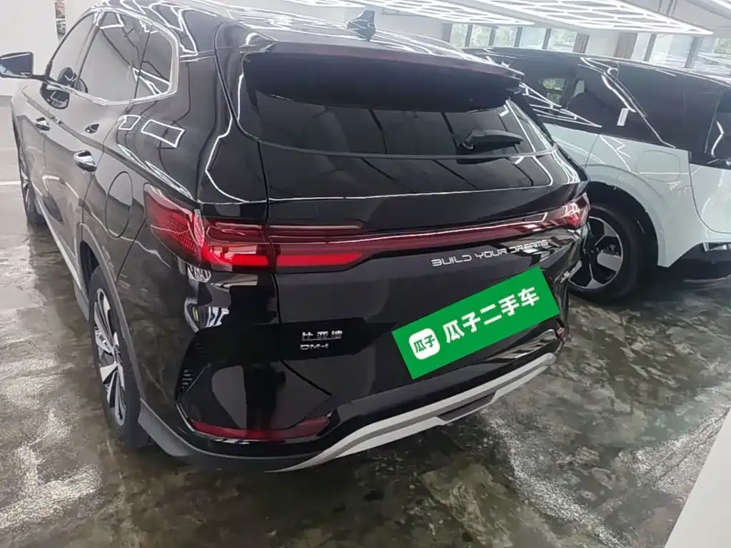 BYD PLUS New Energy — фото 8