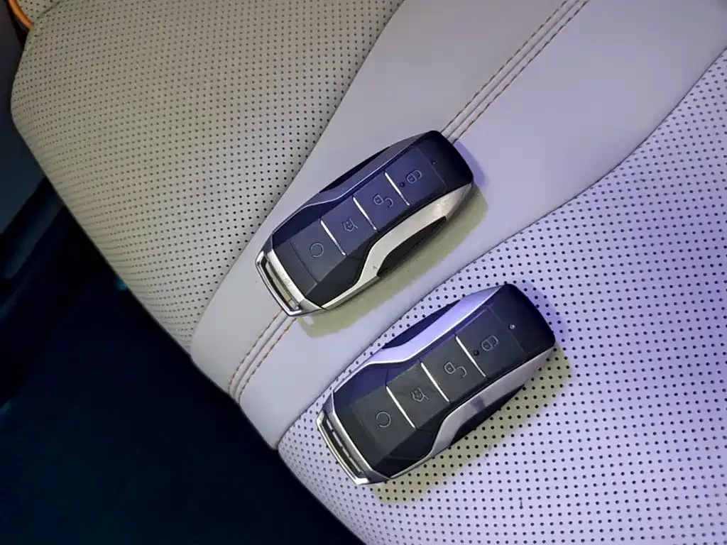 BYD PLUS New Energy — фото 10