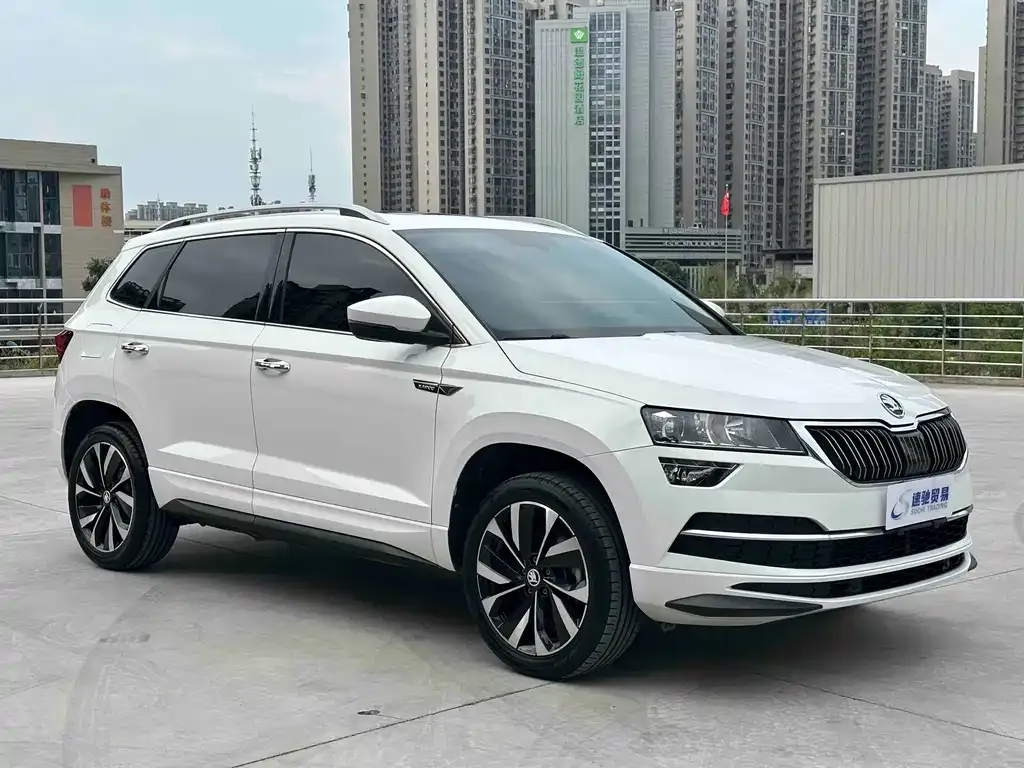 Skoda Karoq — фото 7