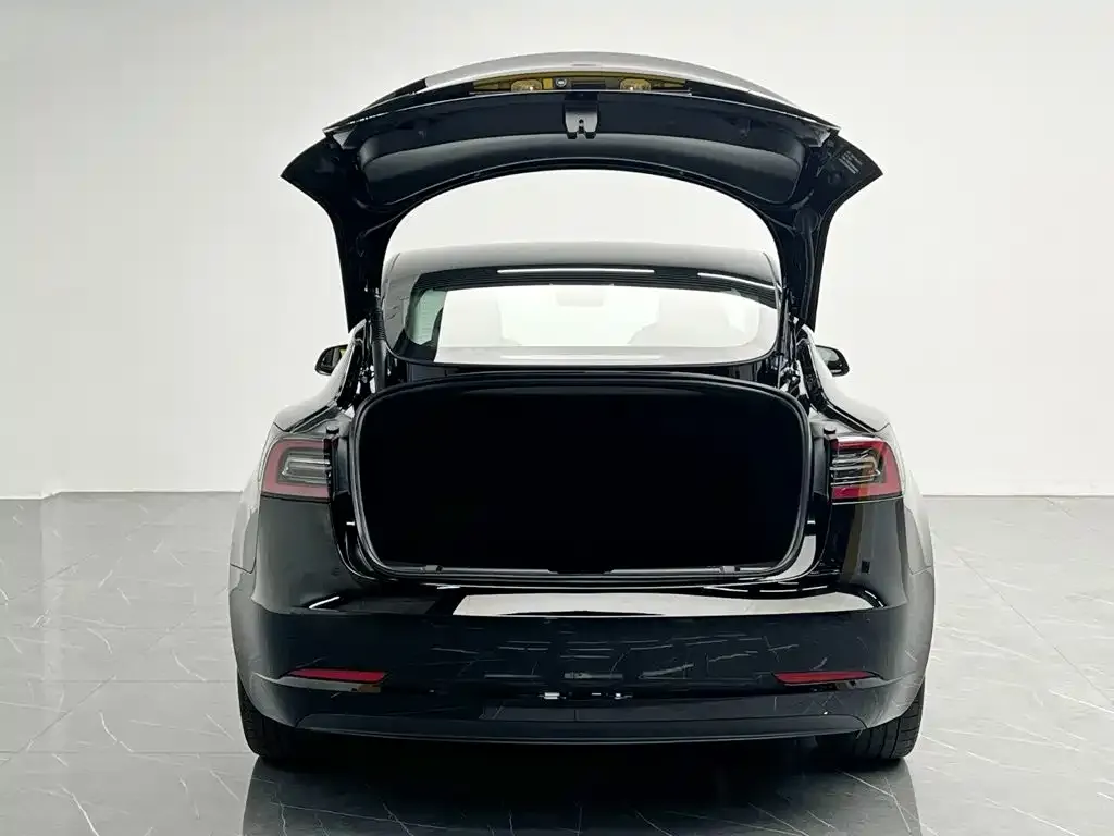 Tesla Model 3 — фото 2