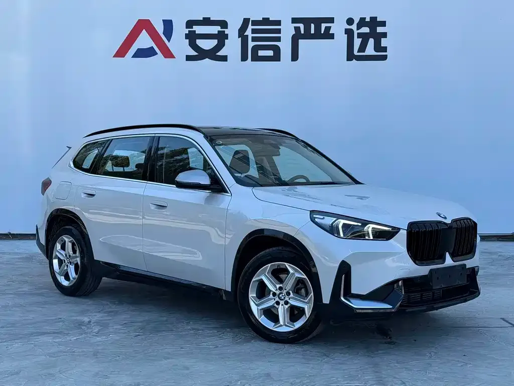 BMW X1 — фото 9
