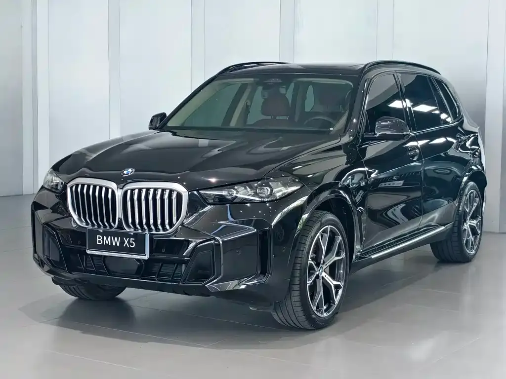 BMW X5 — фото 1