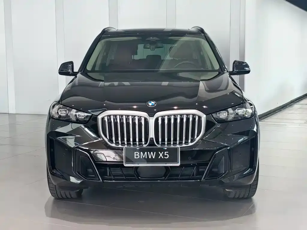 BMW X5 — фото 5