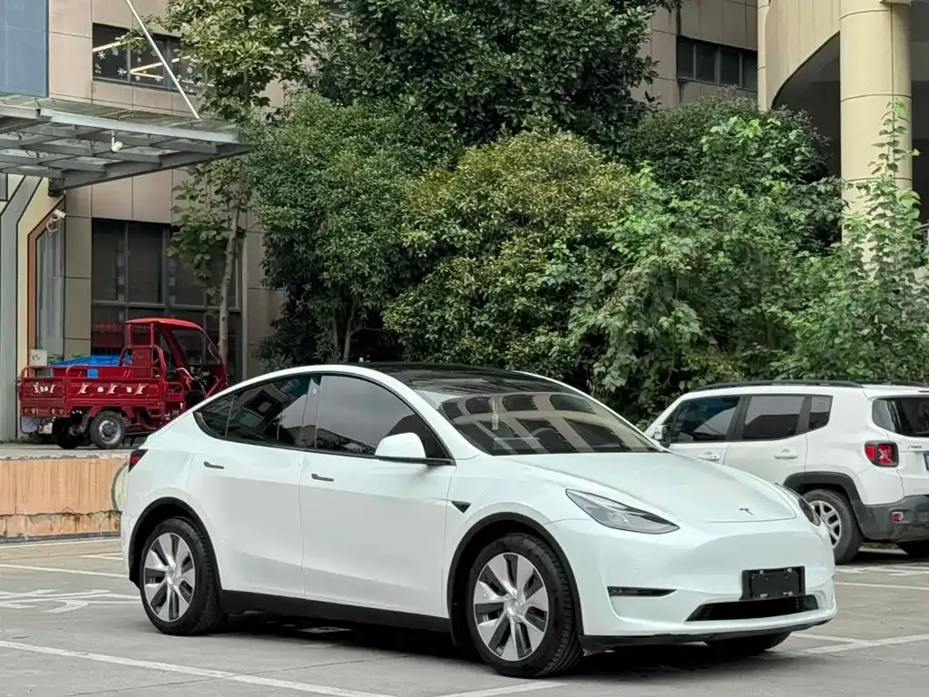 Tesla Model Y — фото 8