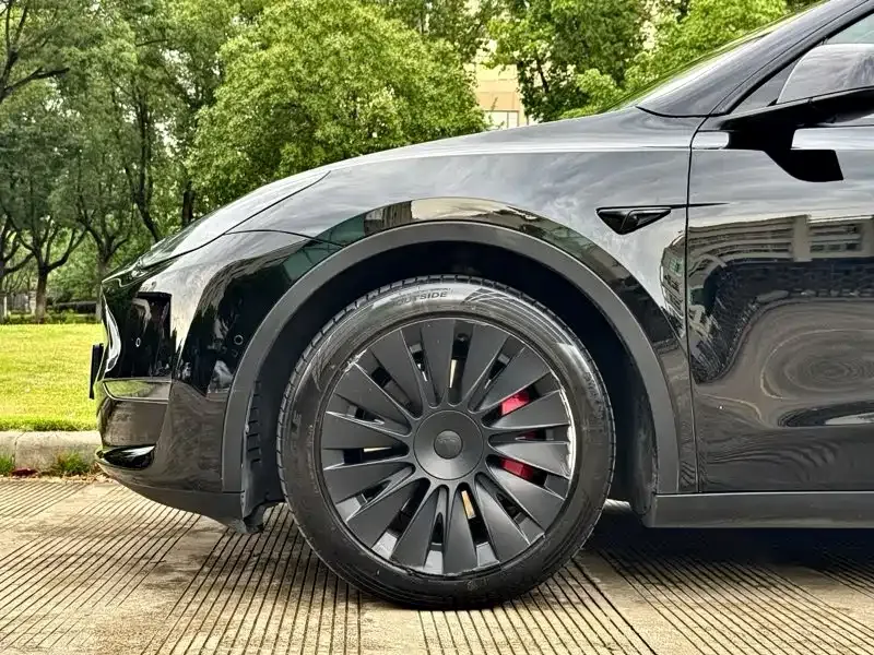 Tesla Model Y — фото 9