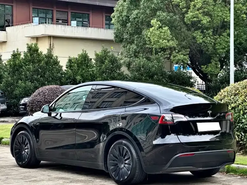 Tesla Model Y — фото 10