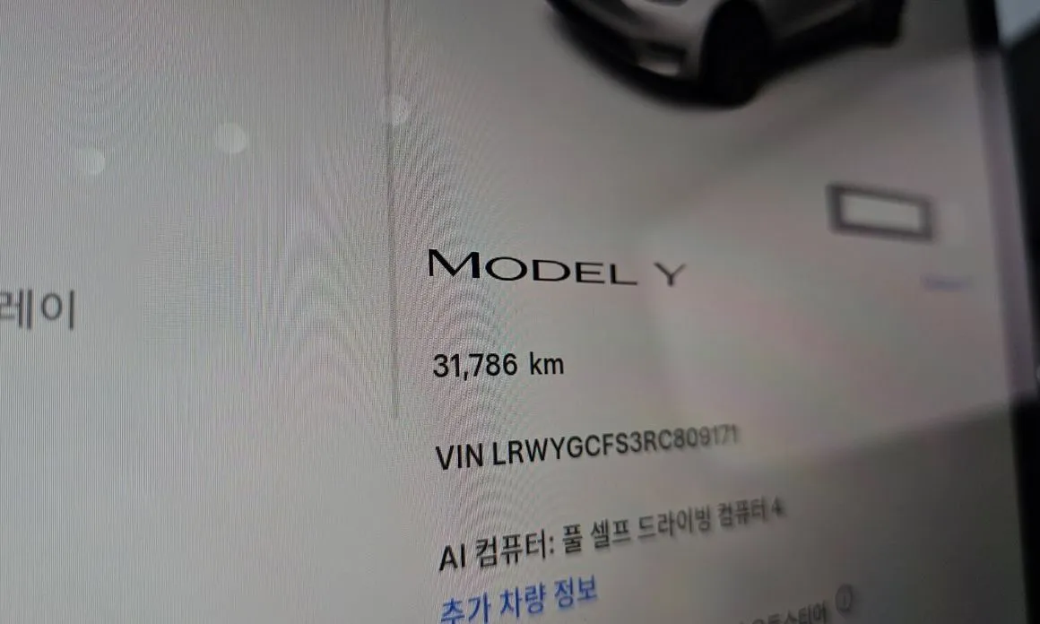 Tesla Model Y — фото 8