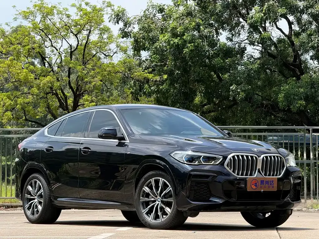 BMW X6 — фото 10
