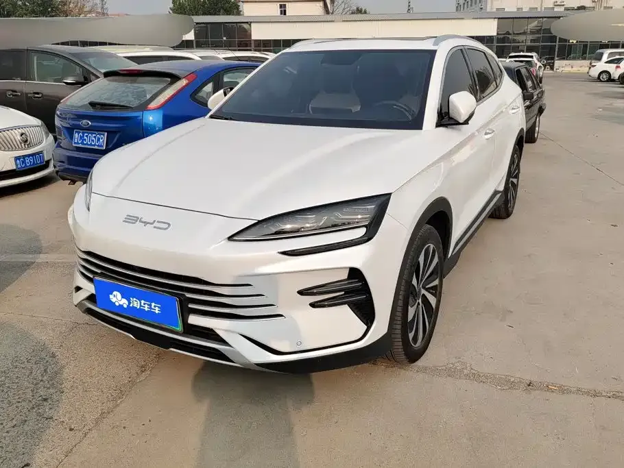 BYD PLUS New Energy — фото 1