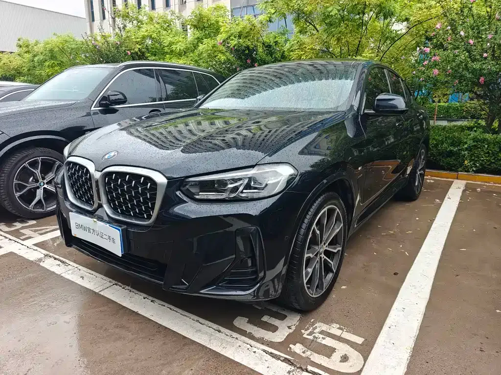 BMW X4 — фото 6
