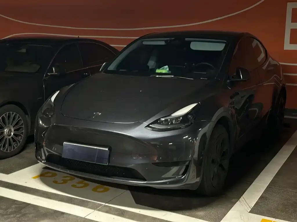 Tesla Model Y — фото 1