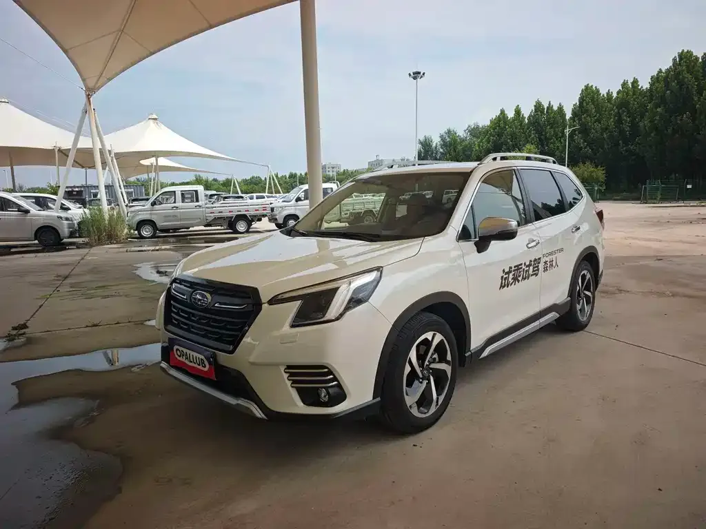 Subaru Forester — фото 1