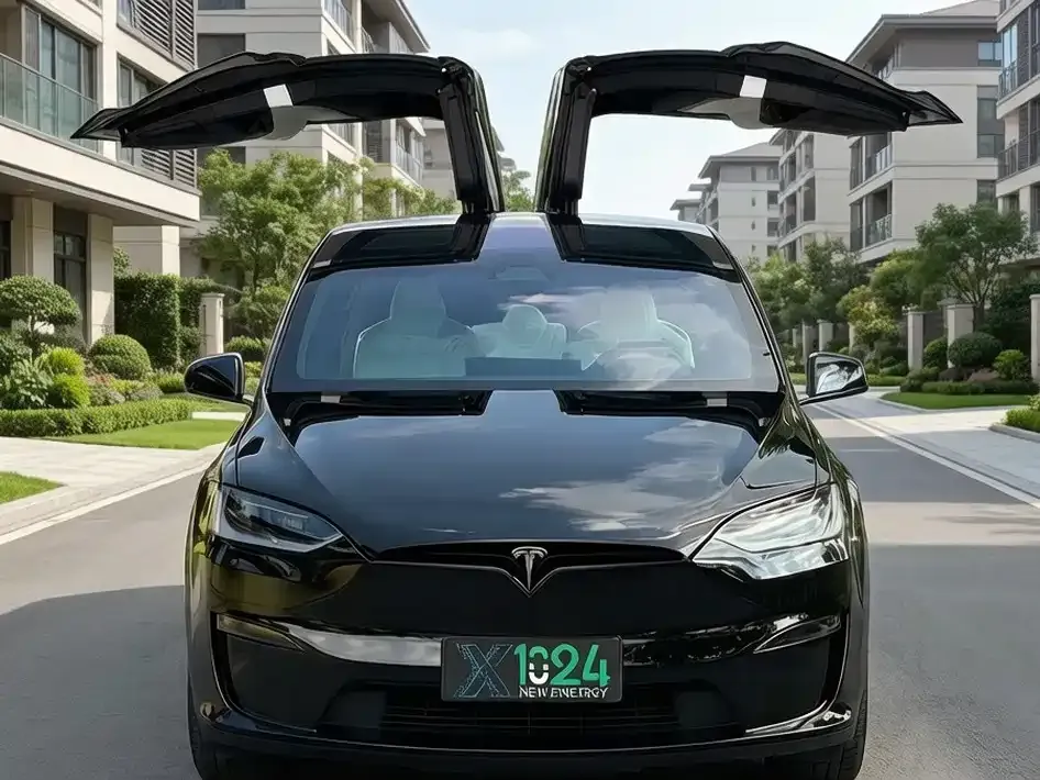 Tesla Model X — фото 6