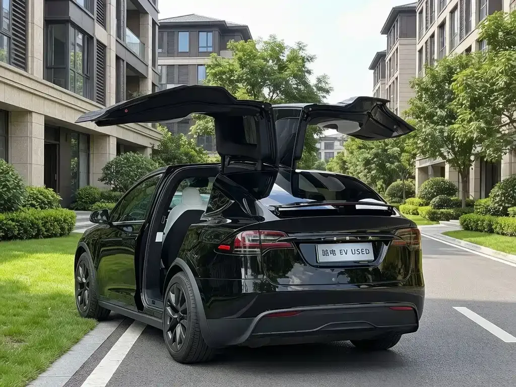 Tesla Model X — фото 10