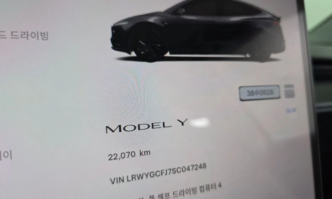 Tesla Model Y — фото 3