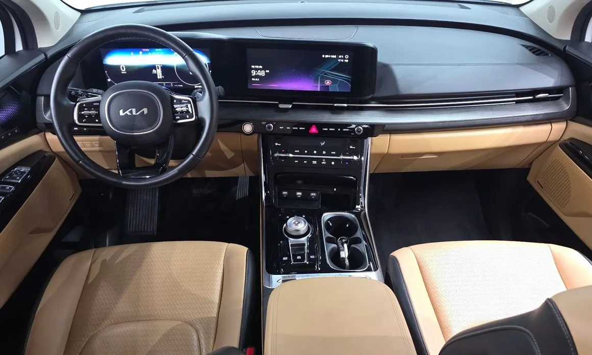 Kia Carnival — фото 10