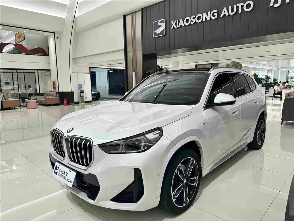 BMW X1 — фото 1