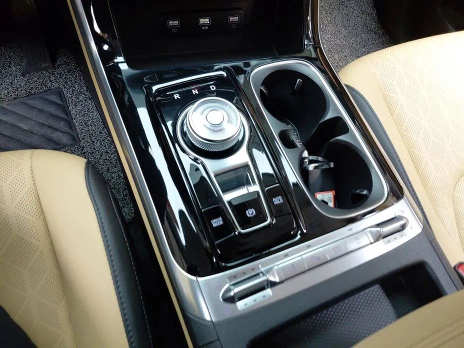 Kia Carnival — фото 10