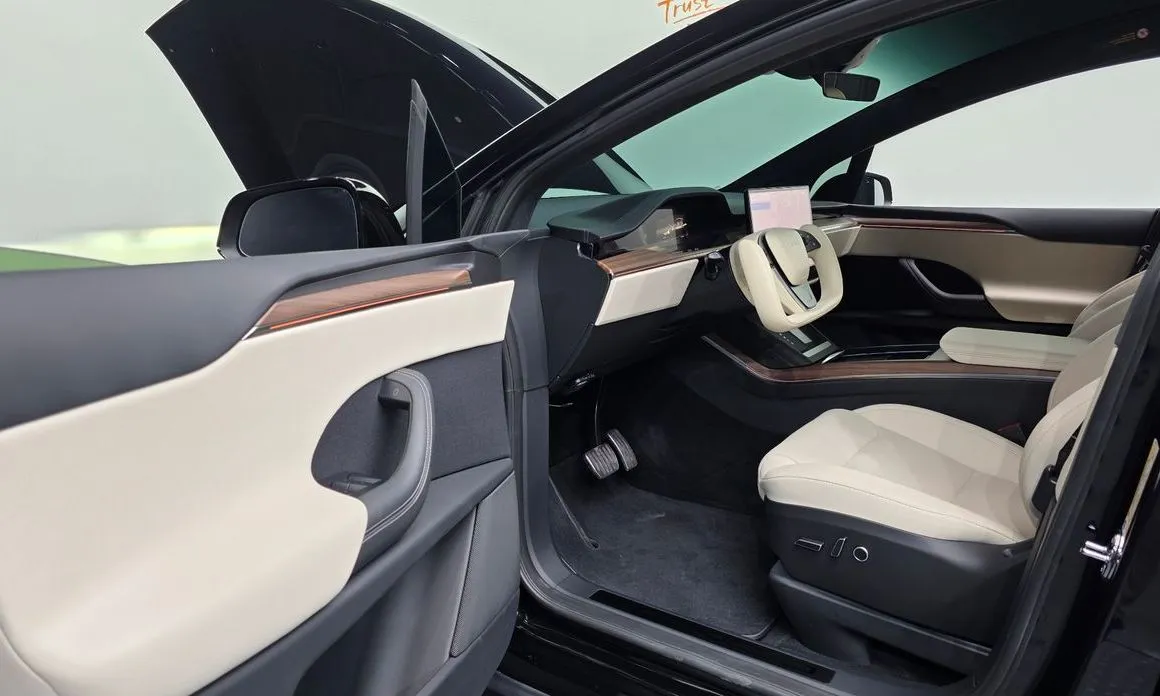Tesla Model X — фото 9