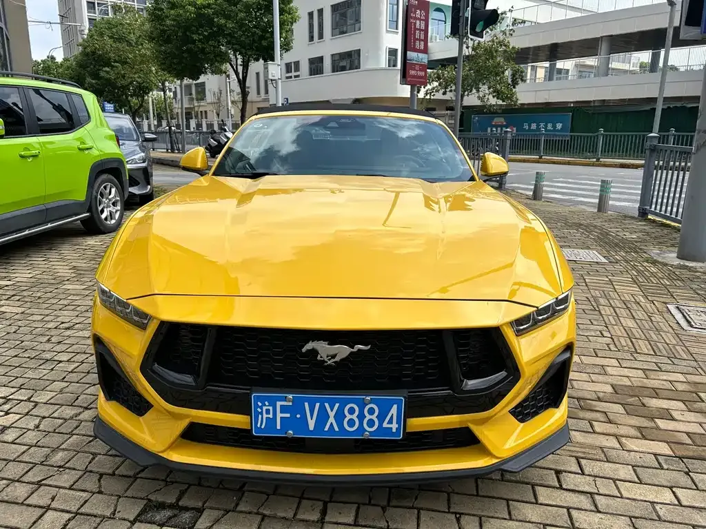 Ford Mustang — фото 10