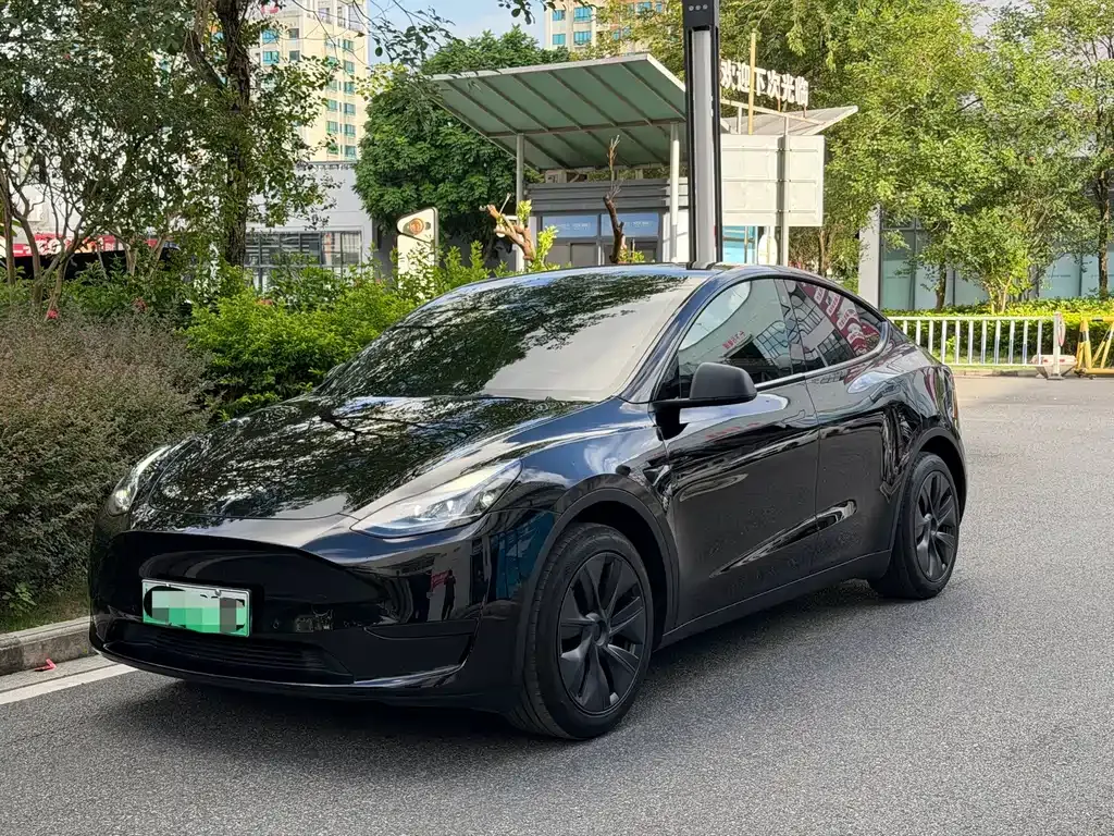 Tesla Model Y — фото 1