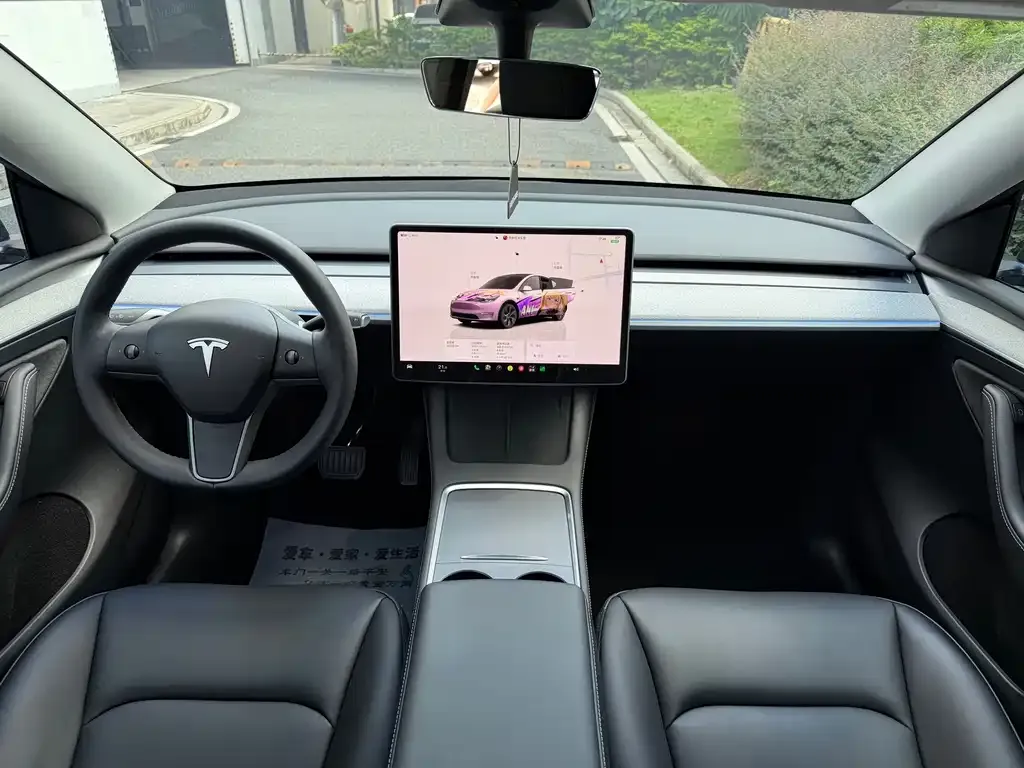 Tesla Model Y — фото 10
