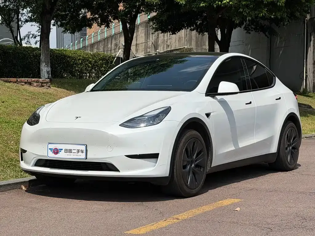 Tesla Model Y — фото 1