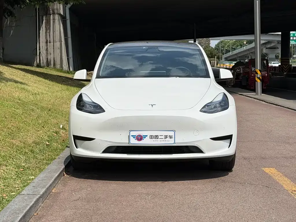 Tesla Model Y — фото 7