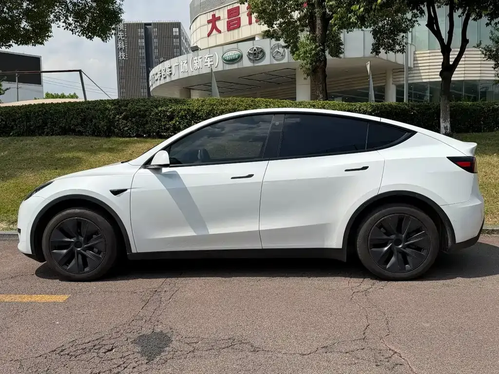 Tesla Model Y — фото 10
