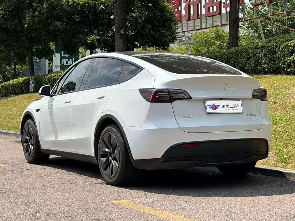 Tesla Model Y — фото 5