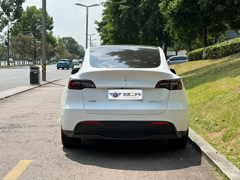 Tesla Model Y — фото 9