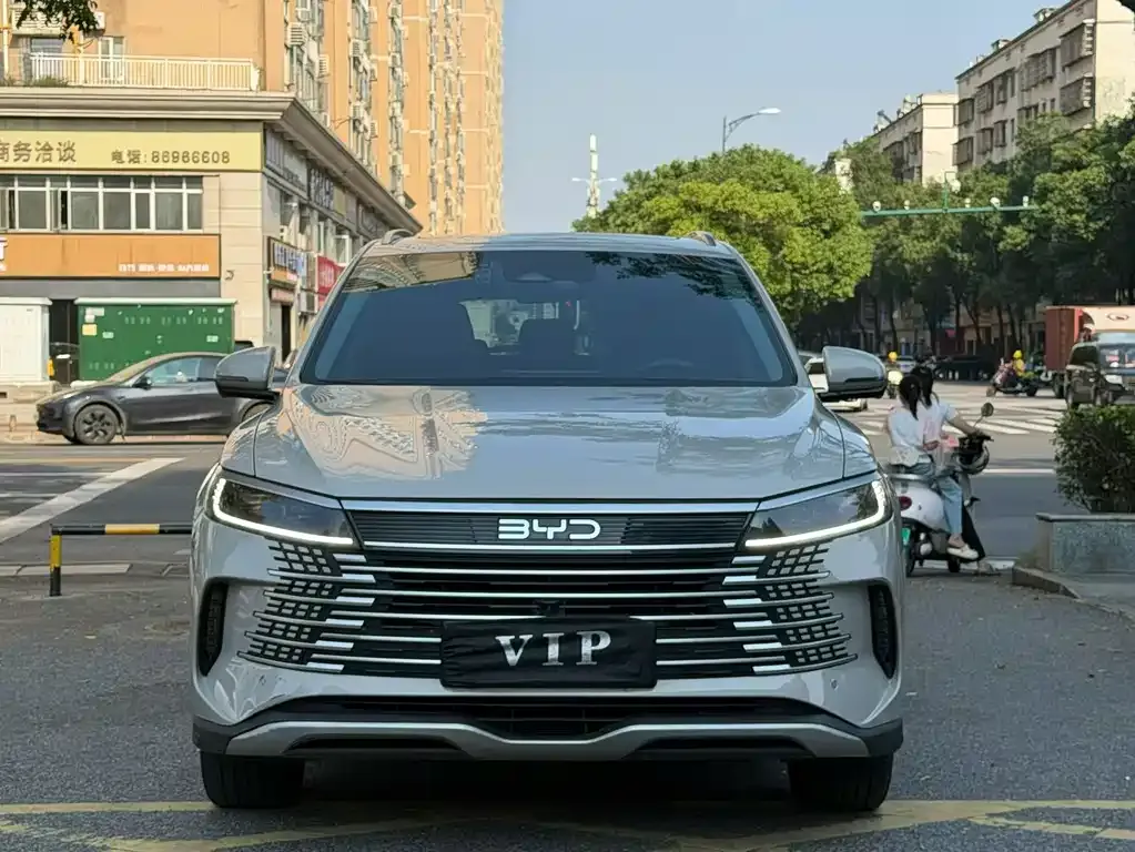 BYD Sealion 05 DM-i — фото 2