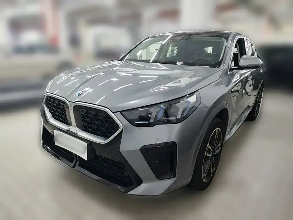 BMW X2 (Import) — фото 1