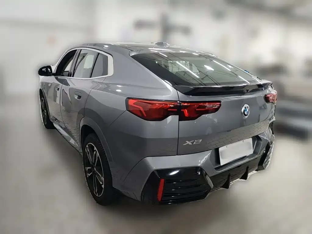 BMW X2 (Import) — фото 10