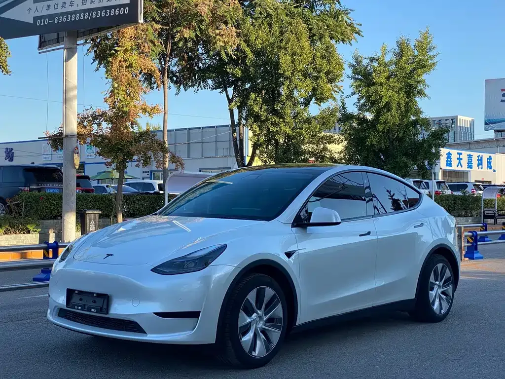 Tesla Model Y — фото 1