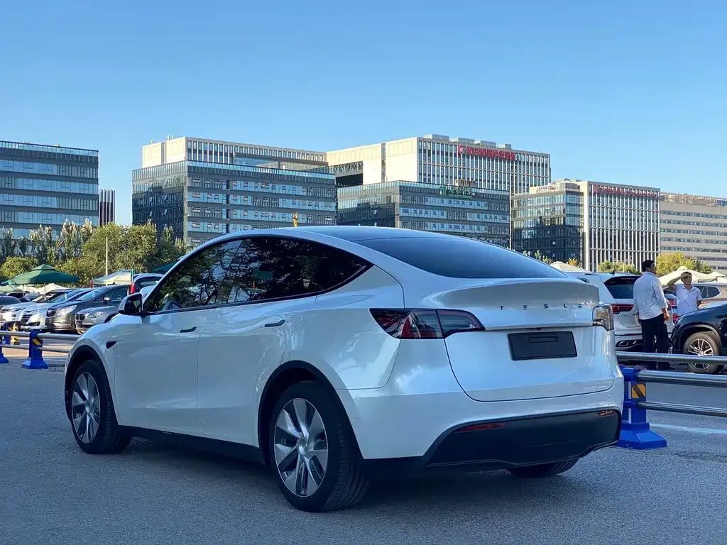 Tesla Model Y — фото 3