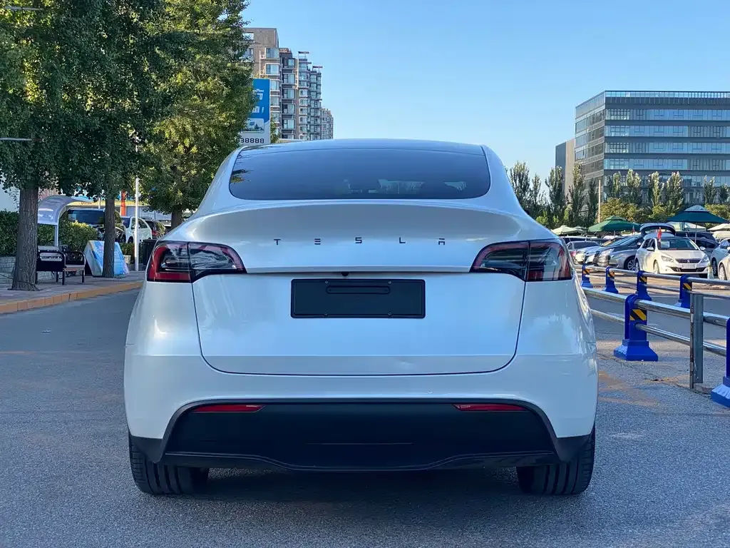 Tesla Model Y — фото 6
