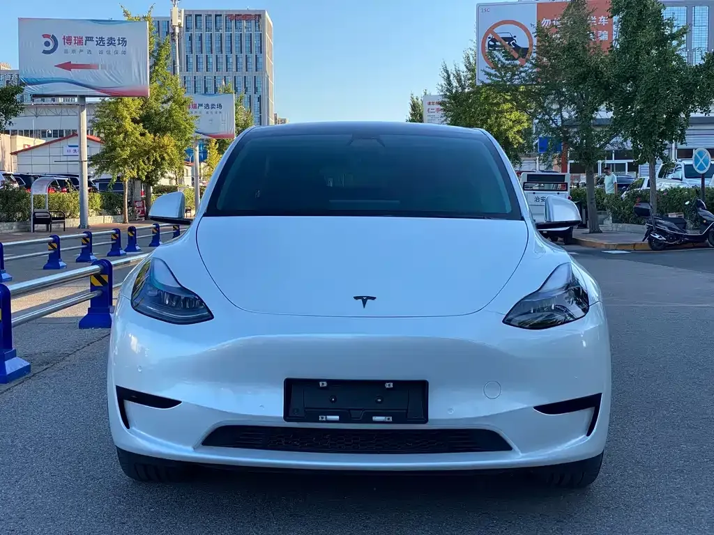 Tesla Model Y — фото 10