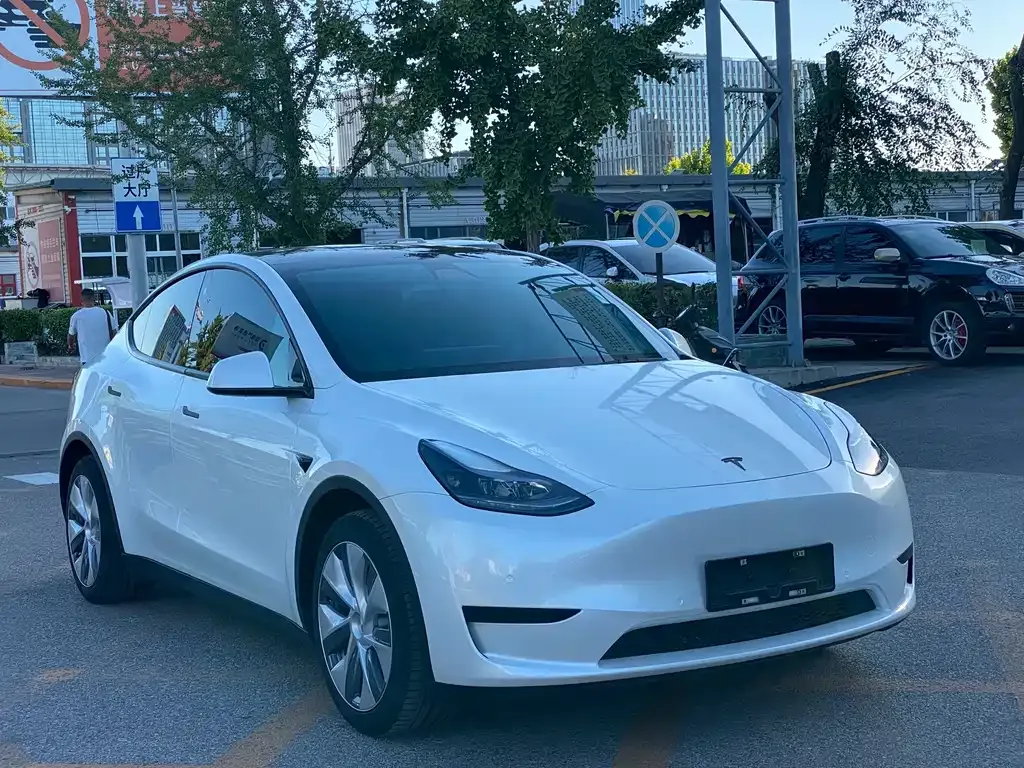 Tesla Model Y — фото 7