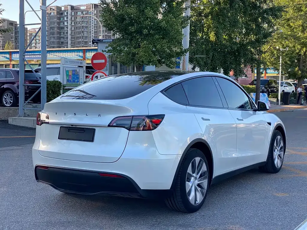 Tesla Model Y — фото 8