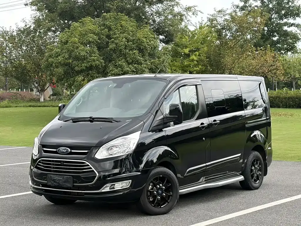 Ford Tourneo — фото 1