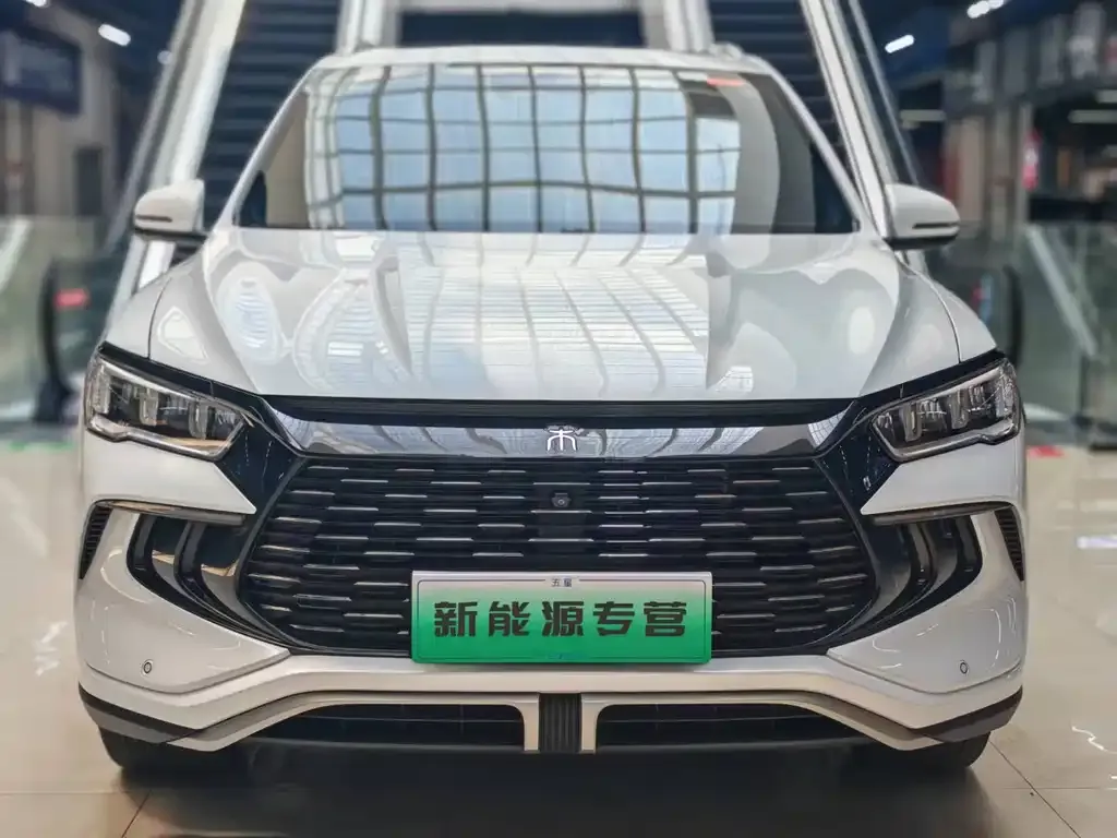 BYD Pro New Energy — фото 1
