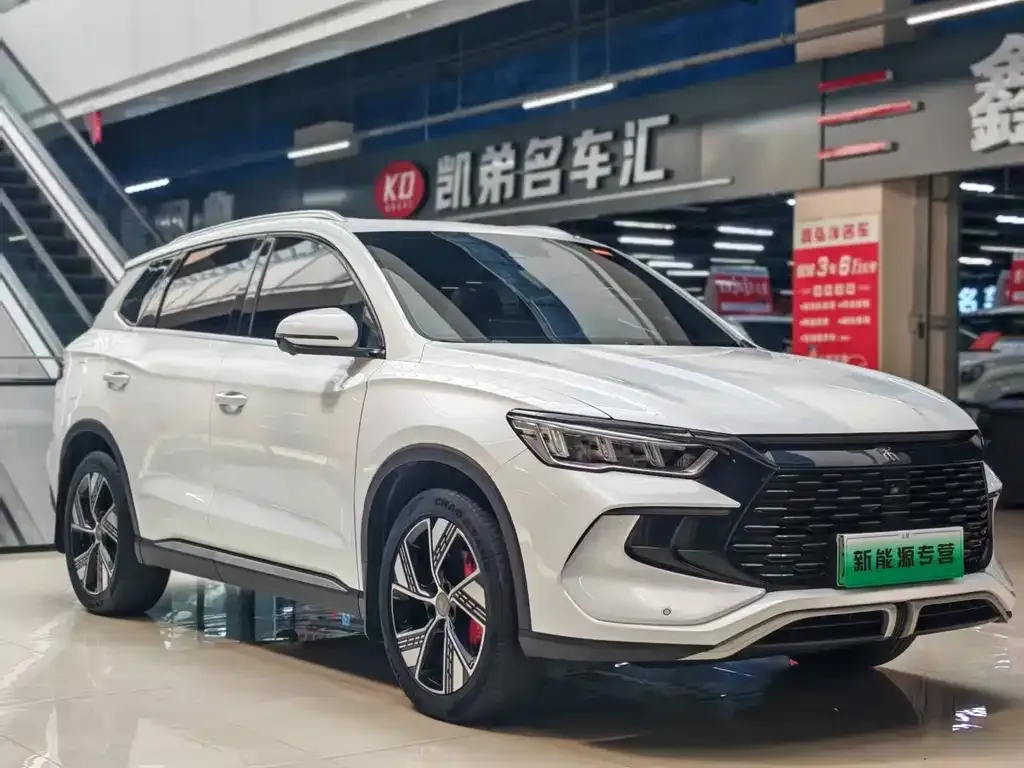 BYD Pro New Energy — фото 8