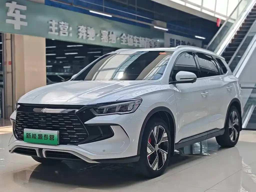 BYD Pro New Energy — фото 10