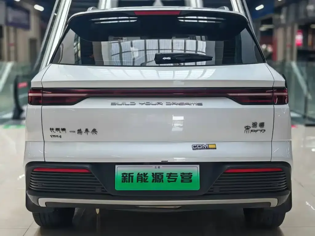 BYD Pro New Energy — фото 2
