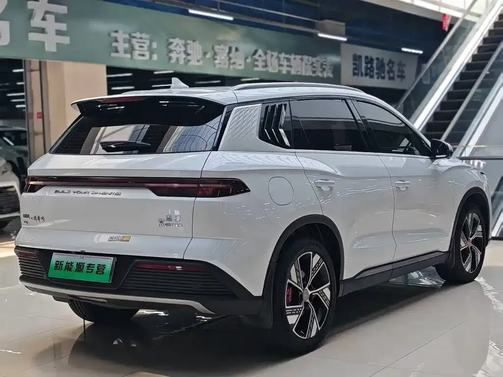 BYD Pro New Energy — фото 4