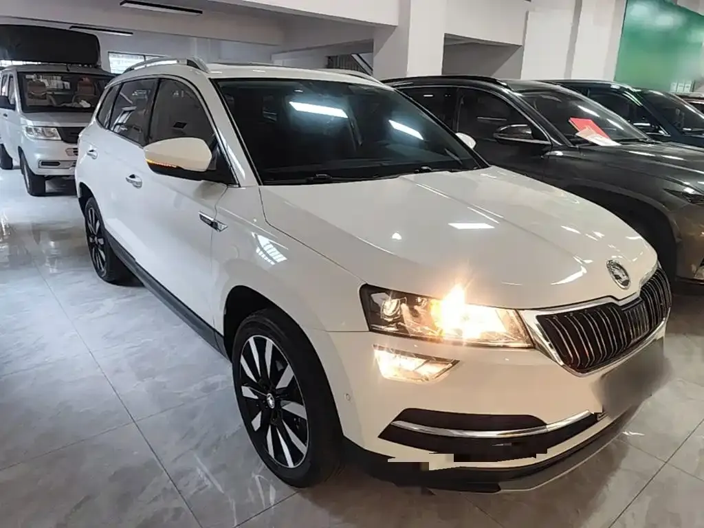 Skoda Karoq — фото 2